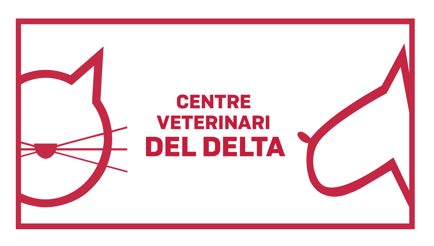 Centre Veterinari del Delta, Sant Carles de la Ràpita
